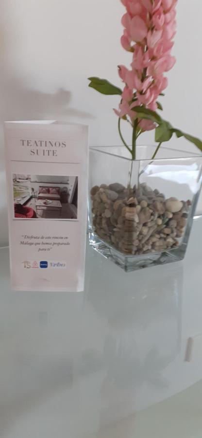 Teatinos Suite Μάλαγα Εξωτερικό φωτογραφία